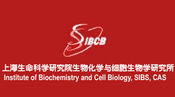上海生命科学研究院生物化学与细胞生物学研究所购置森井CH948B商用环保除湿机